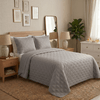 cinza -2-